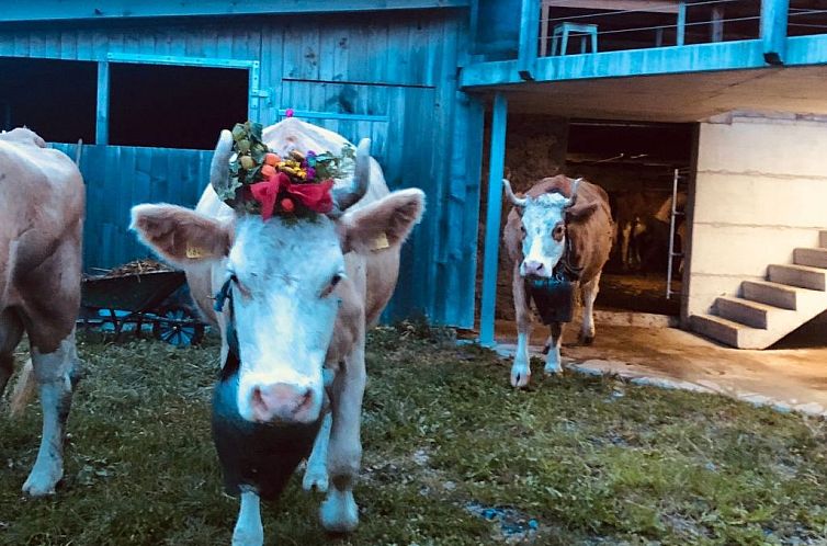 Vakantiehuis Hofuri, 1300m