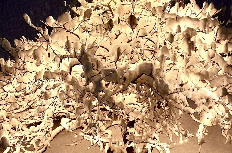 Appartement Ferienwohnung Gehrihorn