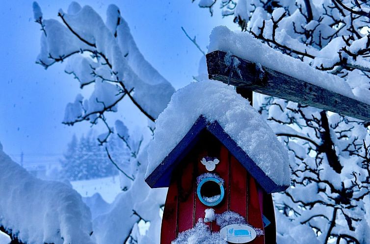 Appartement Ferienwohnung Gehrihorn