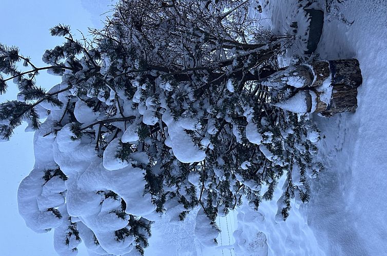 Appartement Ferienwohnung Gehrihorn