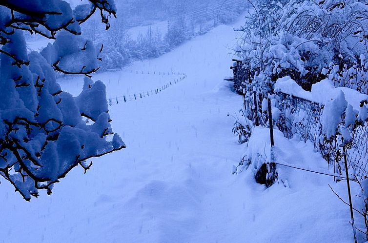 Appartement Ferienwohnung Gehrihorn