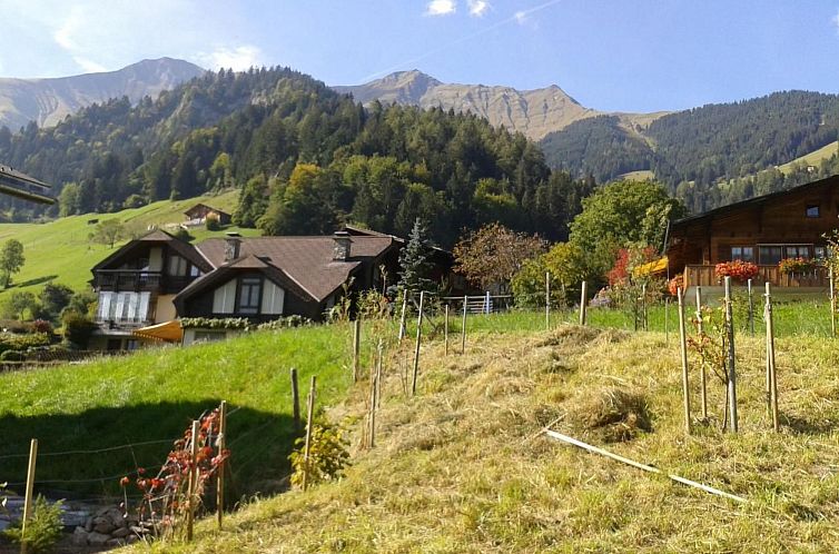 Vakantiehuis Alpenblick west