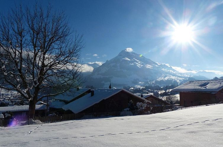 Vakantiehuis Alpenblick west