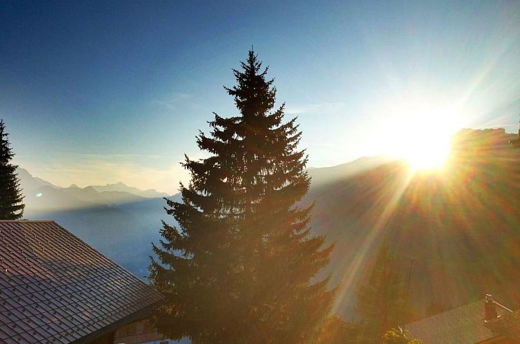 Vakantiehuis Chalet Bärgblüemli