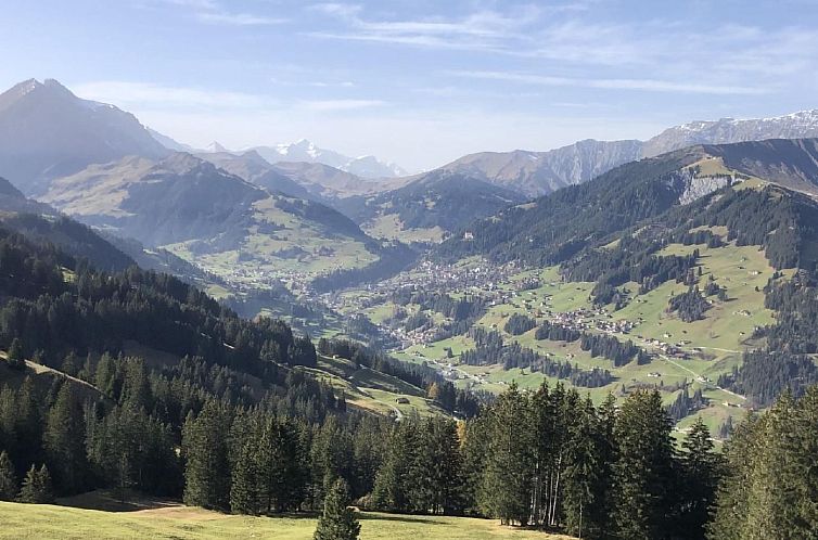 Vakantiehuis Chalet Bärgblüemli