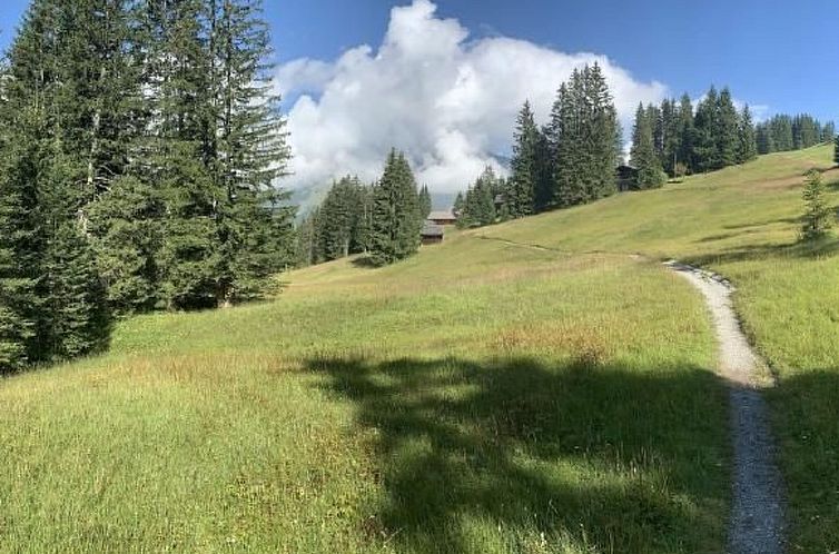 Vakantiehuis Chalet Bärgblüemli