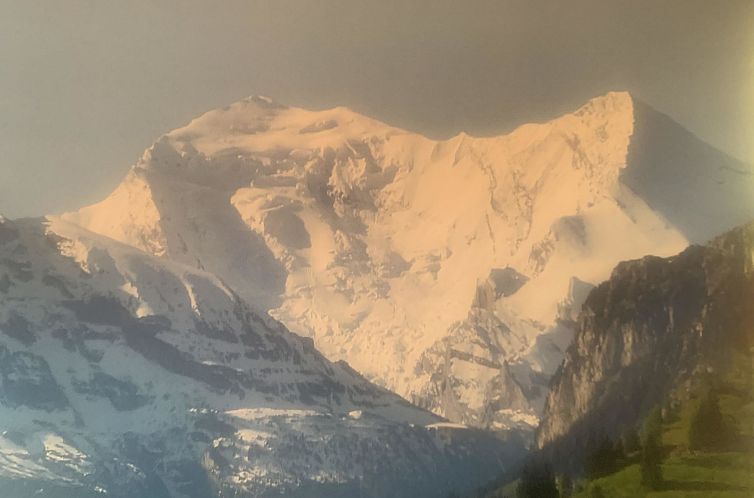 Appartement Gartenstudio "Belle Vue"