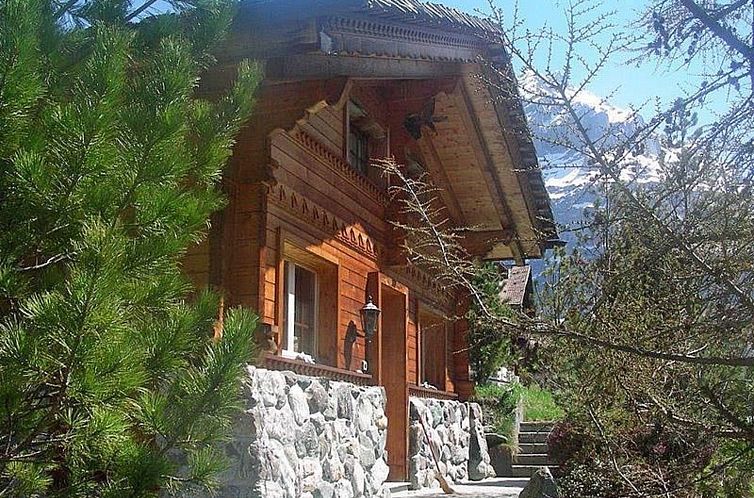 Vakantiehuis Adler 2 Bett Wohnung