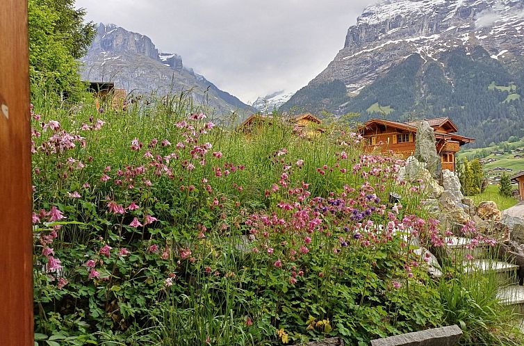 Vakantiehuis Adler 2 Bett Wohnung