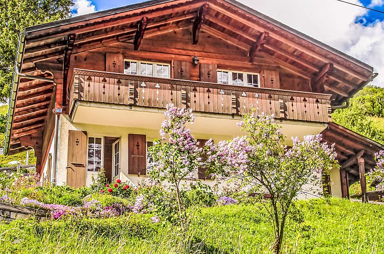 Vakantiehuis Chalet Reinhysi