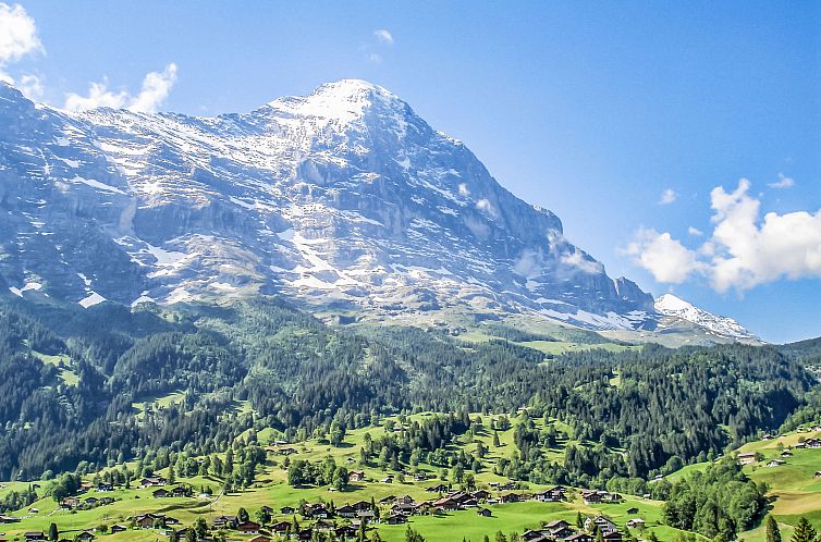 Vakantiehuis Chalet Reinhysi