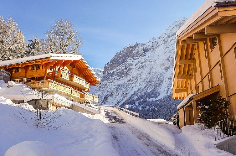 Appartement Chalet Butz