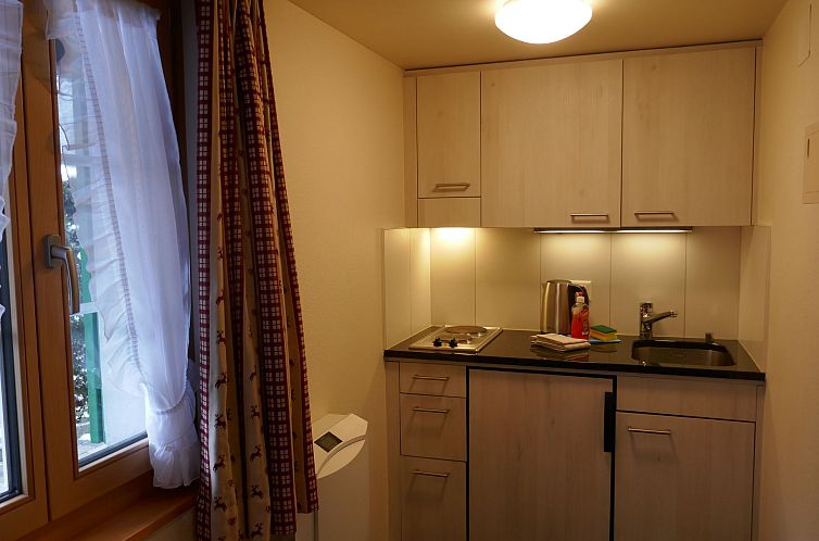 Appartement Chalet Schwendihus