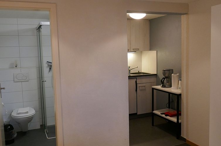 Appartement Chalet Schwendihus