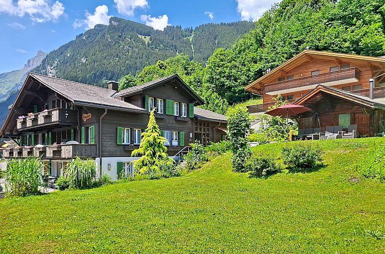 Appartement Chalet Schwendihus