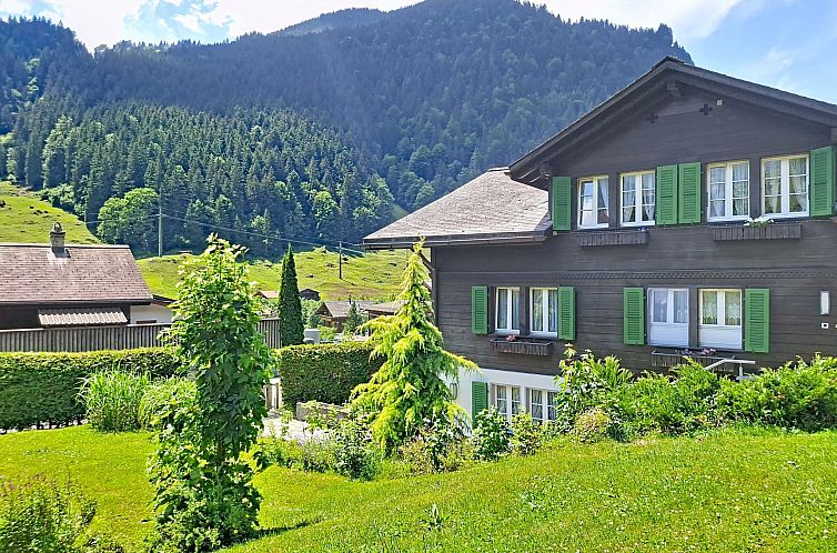 Appartement Chalet Schwendihus