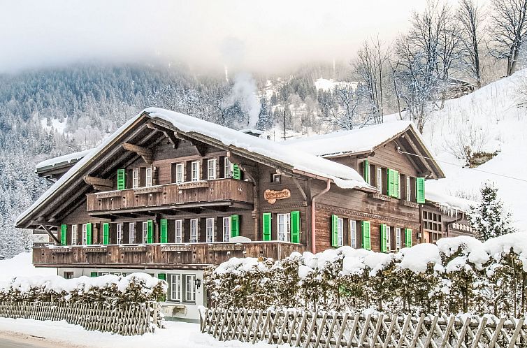 Appartement Chalet Schwendihus