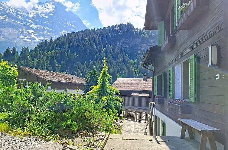 Appartement Chalet Schwendihus