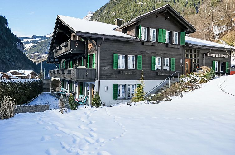 Appartement Chalet Schwendihus