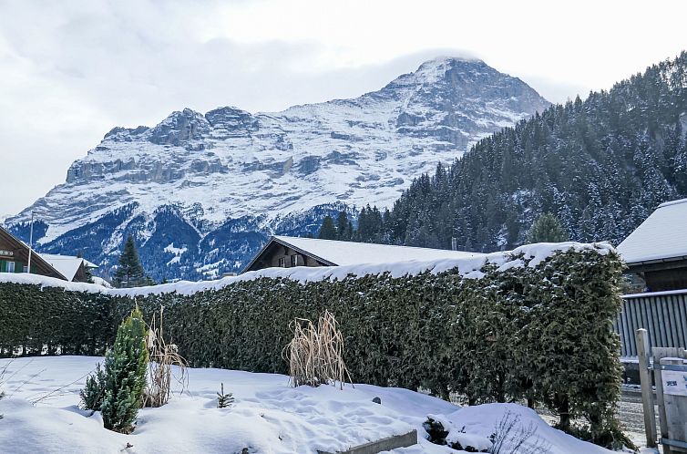 Appartement Chalet Schwendihus