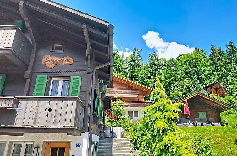Appartement Chalet Schwendihus