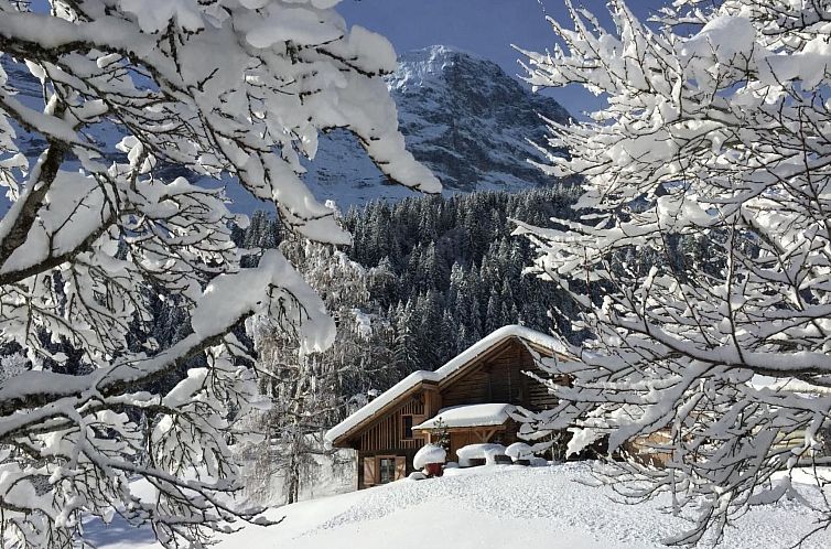 Vakantiehuis Eigerhome - The Cottage mit Wellness