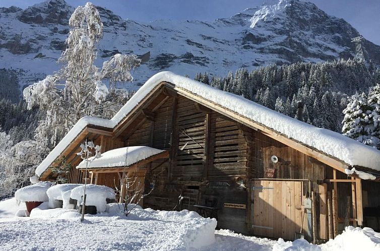 Vakantiehuis Eigerhome - The Cottage mit Wellness