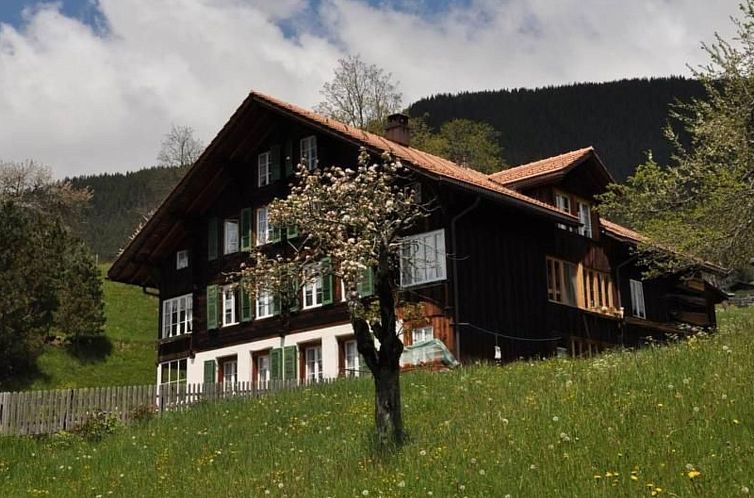 Appartement Abegglen