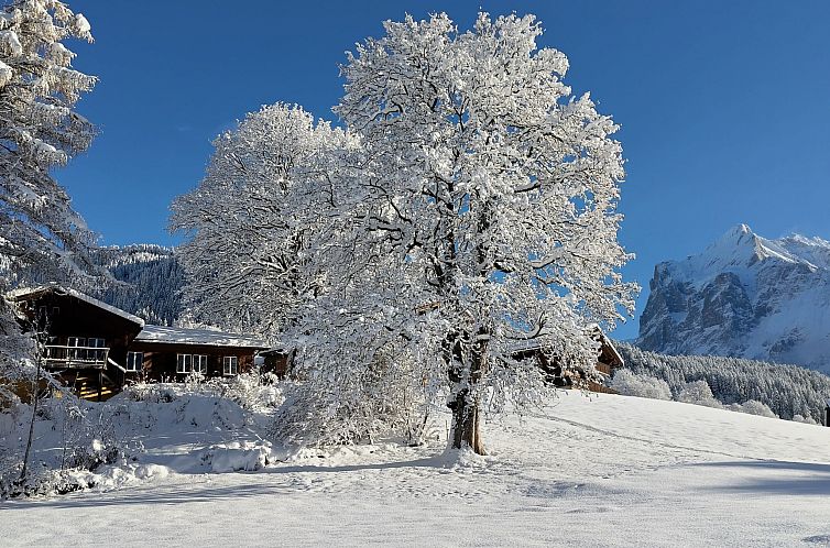 Vakantiehuis Tournelle 8 Bett Wohnung