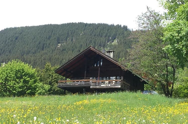 Unterkunft 18028138 - Ferienhaus Berner Oberland - Vakantiehuis alleinstehendes Ferienhaus