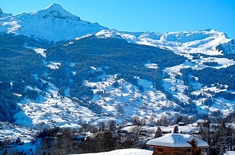 Appartement Wetterhorn