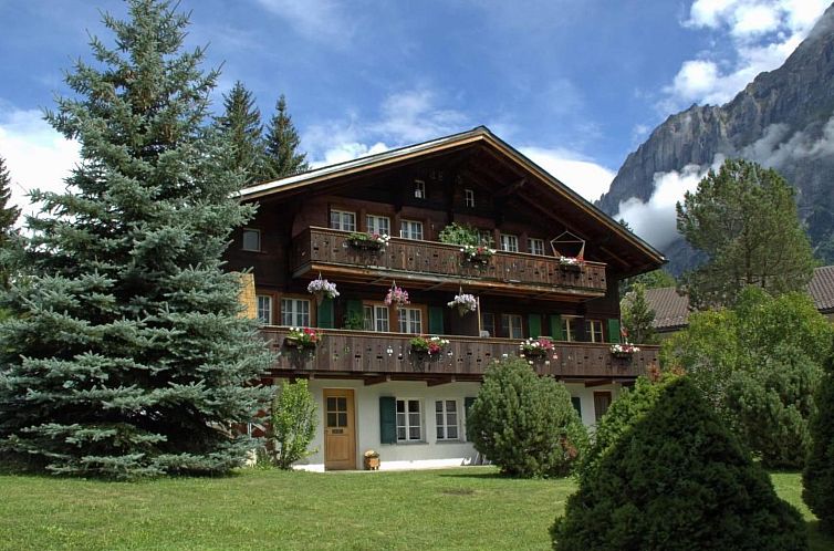 Appartement Heidi