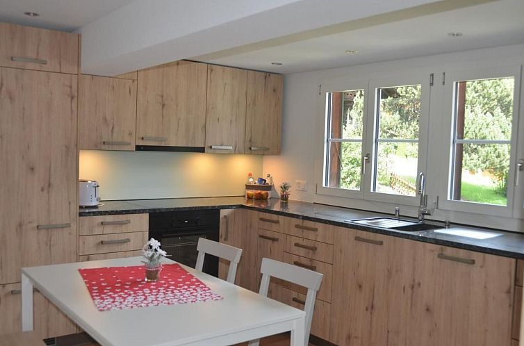 Appartement Grindelwald