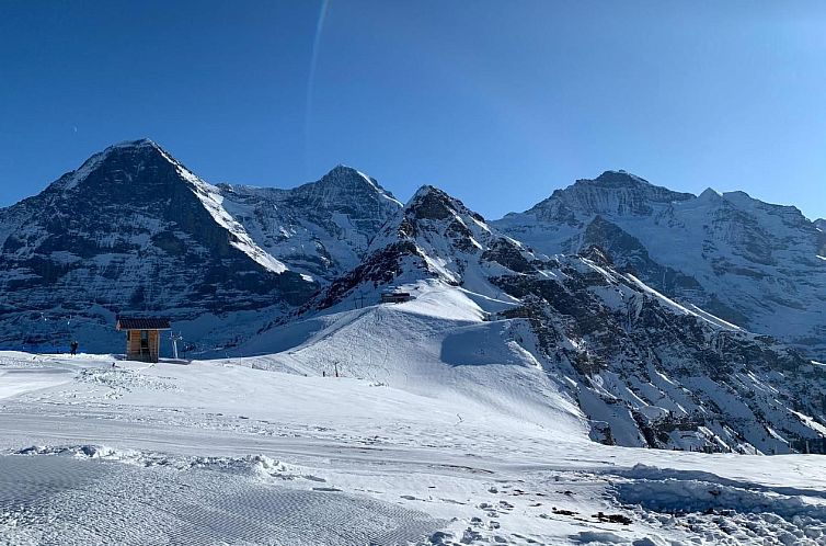 Appartement Grindelwald