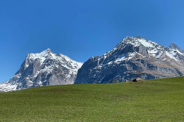 Appartement Grindelwald