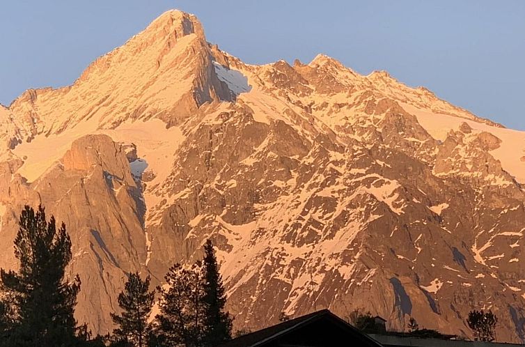 Appartement Grindelwald