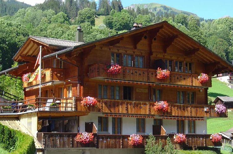 Appartement Chalet Bärefalli