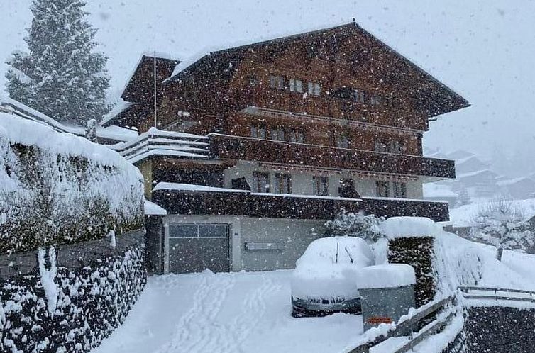 Appartement Chalet Bärefalli