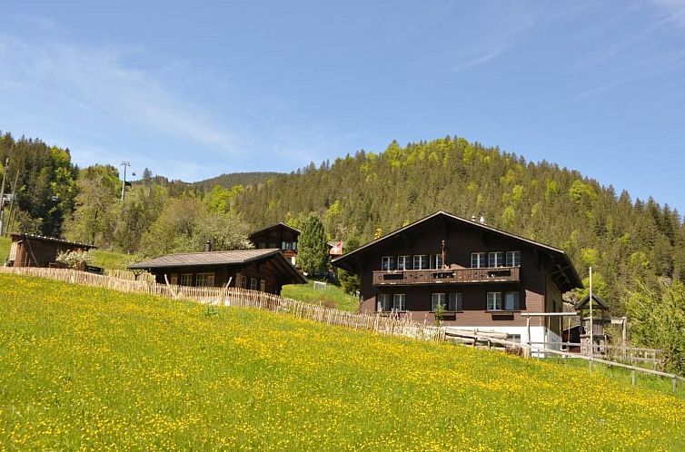 Appartement im Chalet Adelheid