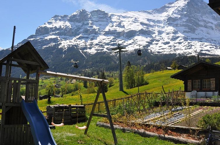 Appartement im Chalet Adelheid