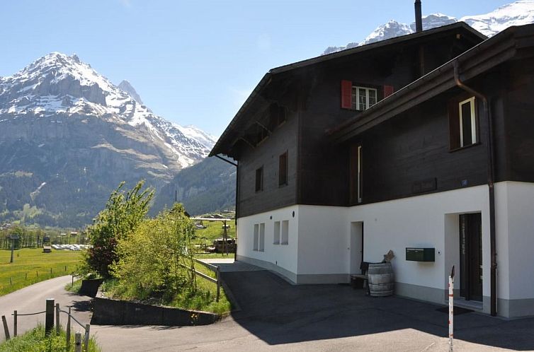 Appartement im Chalet Adelheid