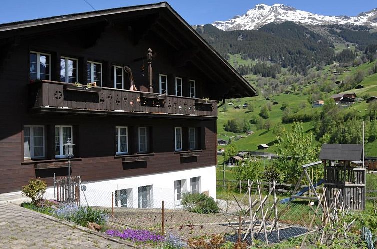 Appartement im Chalet Adelheid