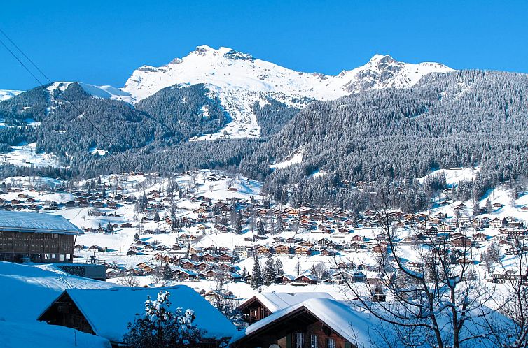 Appartement im Chalet Adelheid