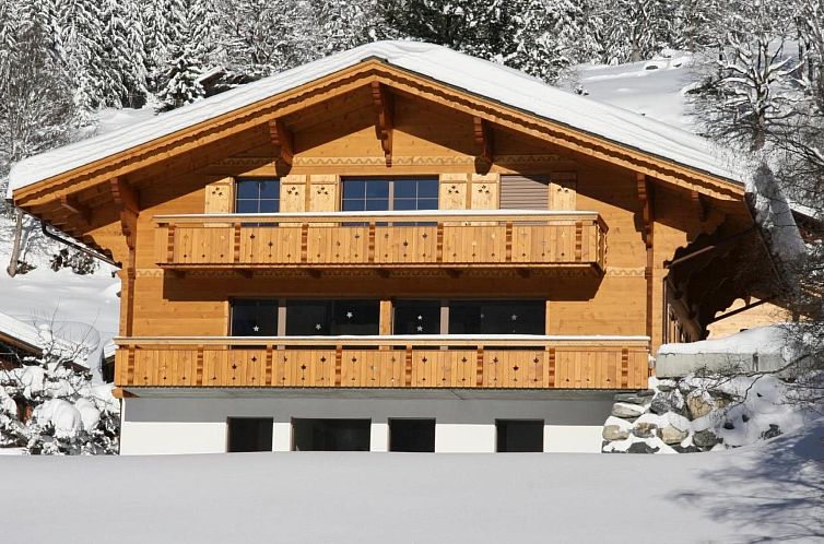 Appartement Chalet Bärgbächli