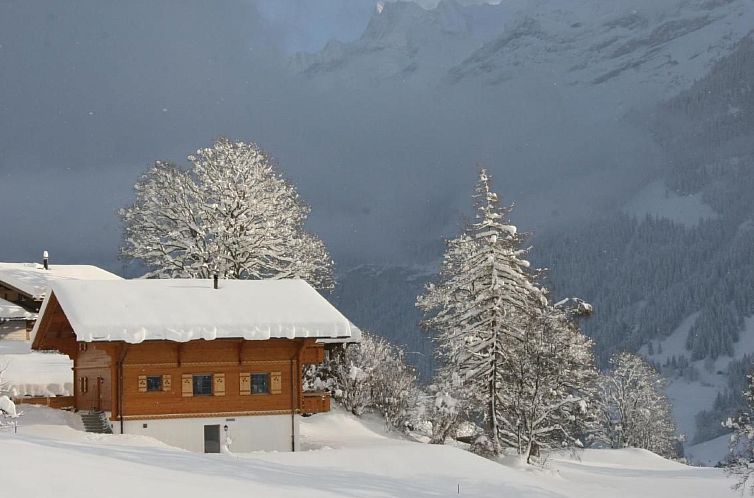 Appartement Chalet Bärgbächli