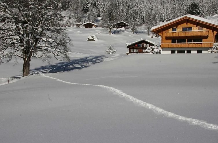 Appartement Chalet Bärgbächli