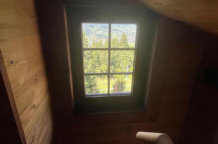 Vakantiehuisje in Grindelwald