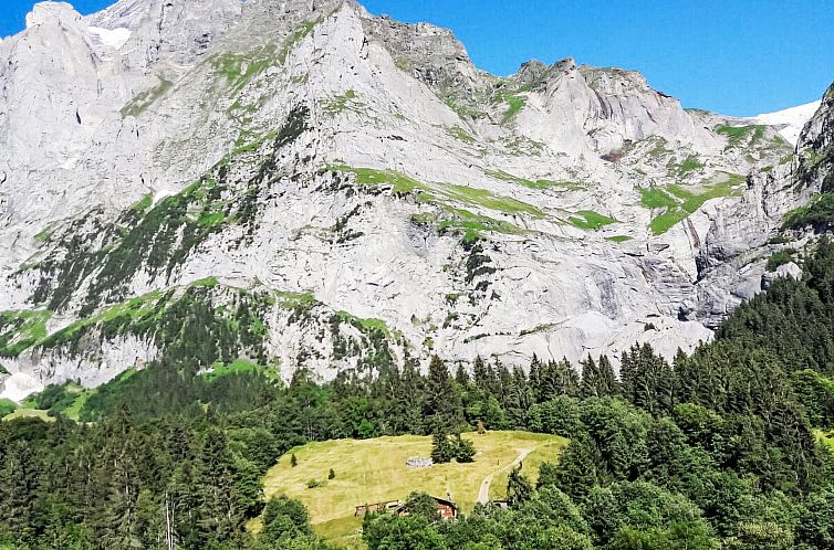 Appartement Lohnerhus