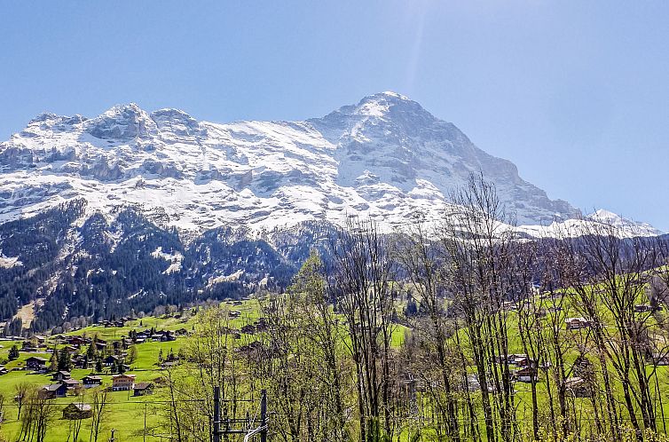 Appartement Chalet Eiger