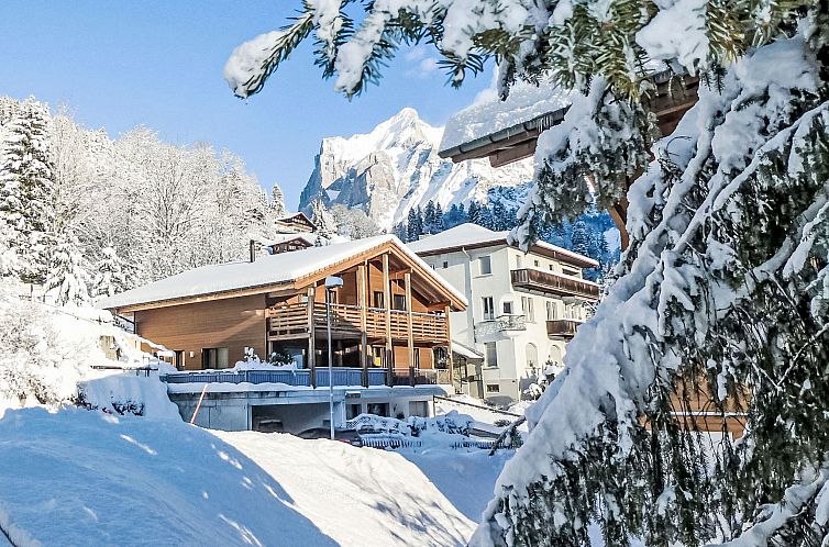 Appartement Chalet La Muntaniala